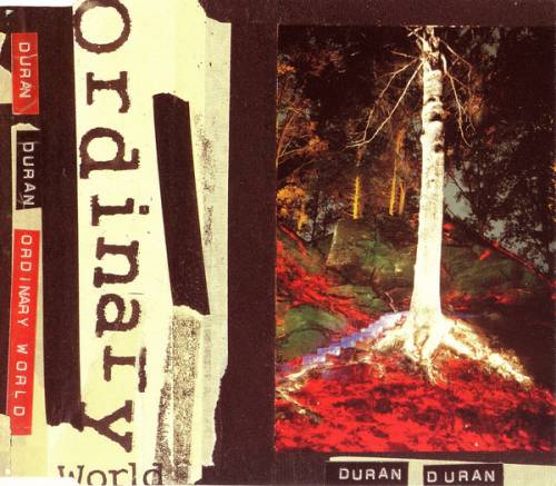 Duran Duran : Ordinary World